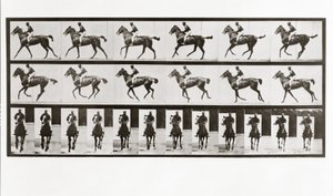 Hest og rytter, plade 621 fra Animal Locomotion, 1887 af Eadweard Muybridge