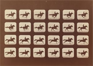 Heste. Løb. Phyrne L. nr. 40 af Eadweard Muybridge