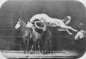 Springer over tre heste...kastanjehest Hornet, fra 
