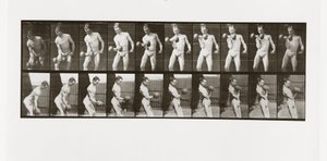 Mand løfter en håndvægt, plade 324 fra Animal Locomotion, 1887 af Eadweard Muybridge