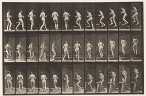 Plade 103. Dreje- og opadgående trapper, kande og bæger i hænder, 1872-1885 af Eadweard Muybridge