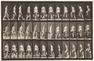 Plade 104. Dreje- og opadgående trapper, spandvand i hver hånd, 1872-1885 af Eadweard Muybridge