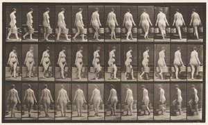 Plade 106. Vending for at gå op ad trapper, spand vand i hver hånd, 1872-1885 af Eadweard Muybridge