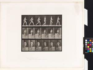 Plade 10.Gå af Eadweard Muybridge