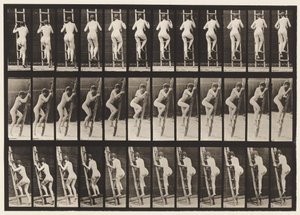 Plade 112. Opstigende Stige af Eadweard Muybridge