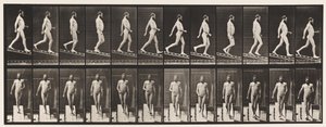 Plade 113. Descending Incline, 1 i 4, 1872-1885 af Eadweard Muybridge