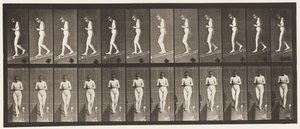 Plade 115. Nedadgående hældning med hænderne spændt foran af Eadweard Muybridge