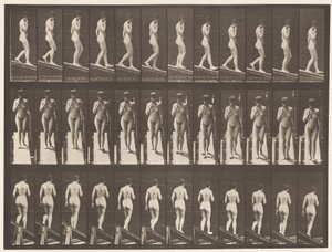 Plade 116. Faldende hældning, en hånd på hagen af Eadweard Muybridge