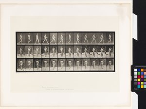 Plade 11.Gå af Eadweard Muybridge