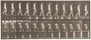 Plade 120. Faldende hældning, spand vand i højre hånd, 1872-1885 af Eadweard Muybridge
