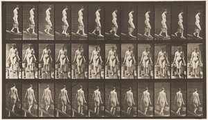 Plade 121. faldende hældning, spand vand i hver hånd af Eadweard Muybridge