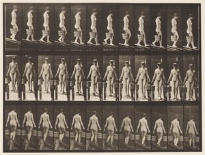 Plade 122. Faldende hældning, spand vand i hver hånd, 1872-1885 af Eadweard Muybridge