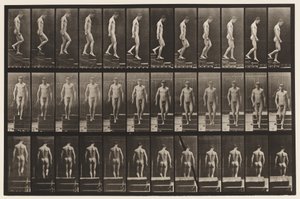 Tavle 125. Nedstigende Trapper af Eadweard Muybridge