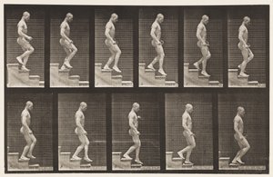 Tavle 126. Nedstigende Trapper af Eadweard Muybridge