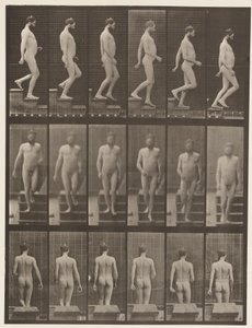 Tavle 127. Nedstigende trapper, 1872-1885 af Eadweard Muybridge