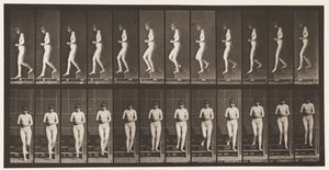 Plade 128. Nedadgående trapper, hænderne spændt, 1872-1885 af Eadweard Muybridge
