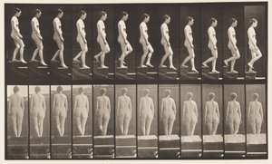 Tavle 129. Nedadgående Trapper, Hænder spændt af Eadweard Muybridge