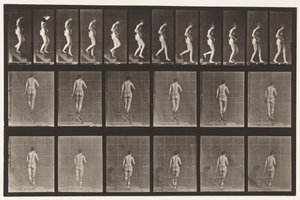 Tallerken 130. Nedadgående trapper, hænderne sammen, 1872-1885 af Eadweard Muybridge