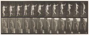 Plade 132. Nedadgående trapper, vende sig for at se sig omkring & vinke med hånden af Eadweard Muybridge