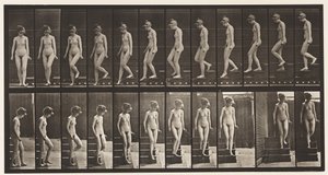 Tavle 137. Nedstigende Trapper, Vending Om af Eadweard Muybridge