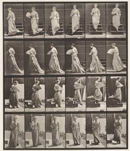 Plade 141. Nedgang og Flirtende Vifte af Eadweard Muybridge