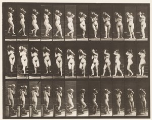 Tavle 147. Nedstigende Trapper; Drejning af vandkrukke på højre skulder, 1872-1885 af Eadweard Muybridge