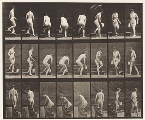 Tavle 150. Nedstigende Trapper; Bøjning, løftekande, drejning, 1872-1885 af Eadweard Muybridge