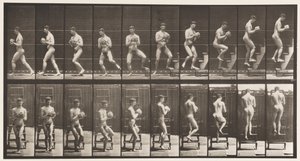 Plade 151. Nedstigende trappestige, vende sig om, klippe i hænder, 1872-1885 af Eadweard Muybridge