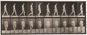 Plade 15. Gå af Eadweard Muybridge