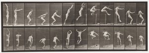 Tallerken 161. Springning; Stående Højdespring af Eadweard Muybridge