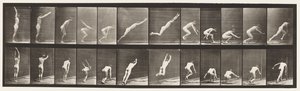 Tallerken 162. Springning; Stående breddespring af Eadweard Muybridge