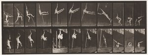Tavle 164. Springning; Stangspringning, 1872-1885 af Eadweard Muybridge