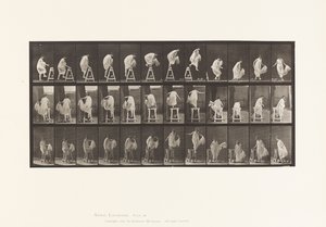 Tallerken 172. At træde på en buk; Jumping Down, Turning, 1885 af Eadweard Muybridge