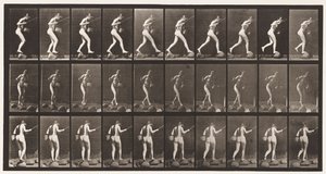 Tavle 176. Krydsende bæk på trappesten med fiskestang og kurv af Eadweard Muybridge