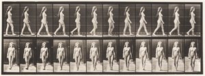 Tavle 17. Vandrende, 1872-1885 af Eadweard Muybridge