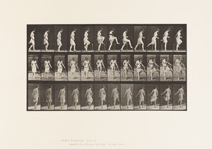 Plade 181. At træde over et hegn af Eadweard Muybridge