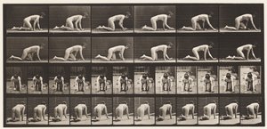 Tallerken 182. Kravlende på Hænder og Knæ af Eadweard Muybridge