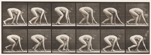 Tavle 183. Går på hænder og fødder af Eadweard Muybridge
