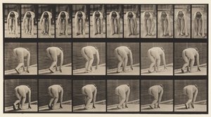 Tavle 184. Går på hænder og fødder af Eadweard Muybridge