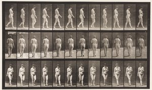 Plade 18. Gå, venstre hånd over maven, 1872-1885 af Eadweard Muybridge