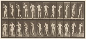 Tallerken 195. Dansende vals af Eadweard Muybridge