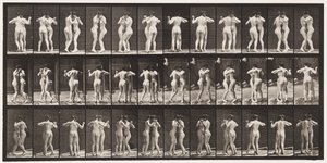 Tavle 196. Dansende vals, to modeller af Eadweard Muybridge