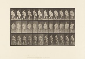 Plade 19. Gå, begynder at vende om af Eadweard Muybridge