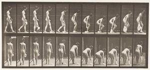 Tallerken 202. Tab og løft af et Lommetørklæde af Eadweard Muybridge
