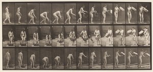 Plade 213. Løfte- og tømmekurv af Eadweard Muybridge