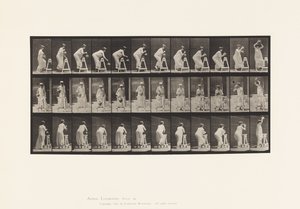 Plade 216. Bøjning for at fylde vandkrukke; Sæt krukken på hovedet af Eadweard Muybridge