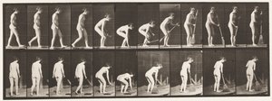 Tallerken 219. Bøje og løfte Kost og Feje af Eadweard Muybridge