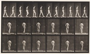 Plade 21. Gående, begge albuer bøjet af Eadweard Muybridge