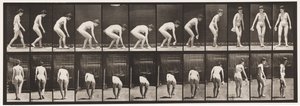 Tallerken 220. Bøje- og løftetørklæde og vende af Eadweard Muybridge