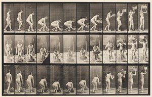 Plade 221. Bøjning og løft af 12 lb kurv til hoved af Eadweard Muybridge